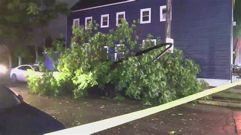 Overnight storms cause destruction in Cook County near West suburbs